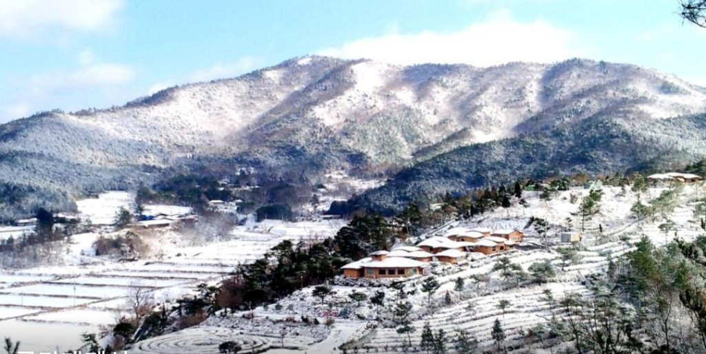 배경 이미지