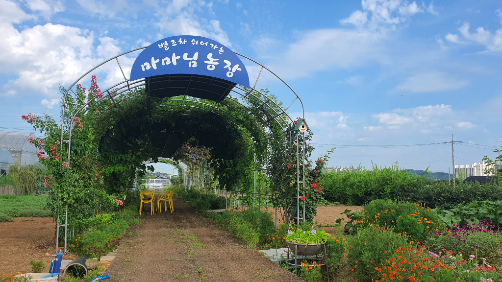 배경 이미지