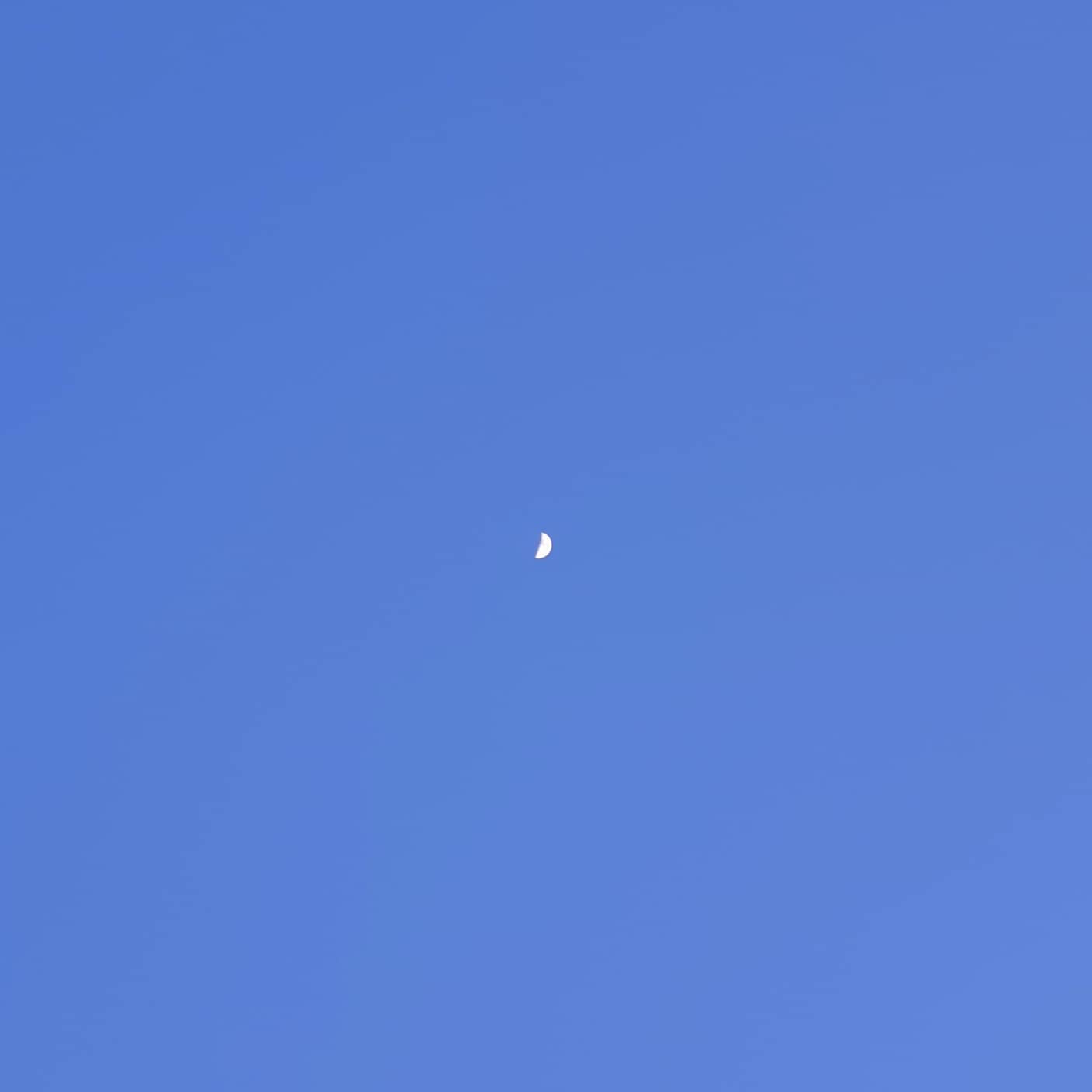 배경 이미지