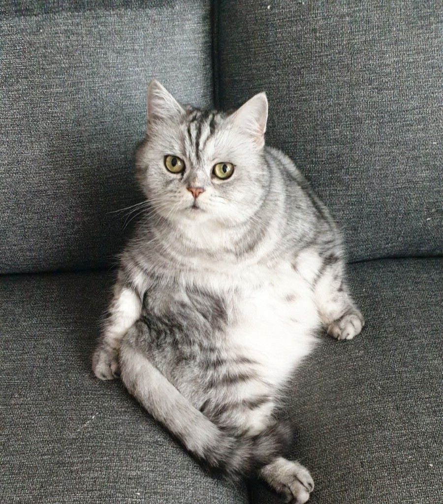 배경 이미지