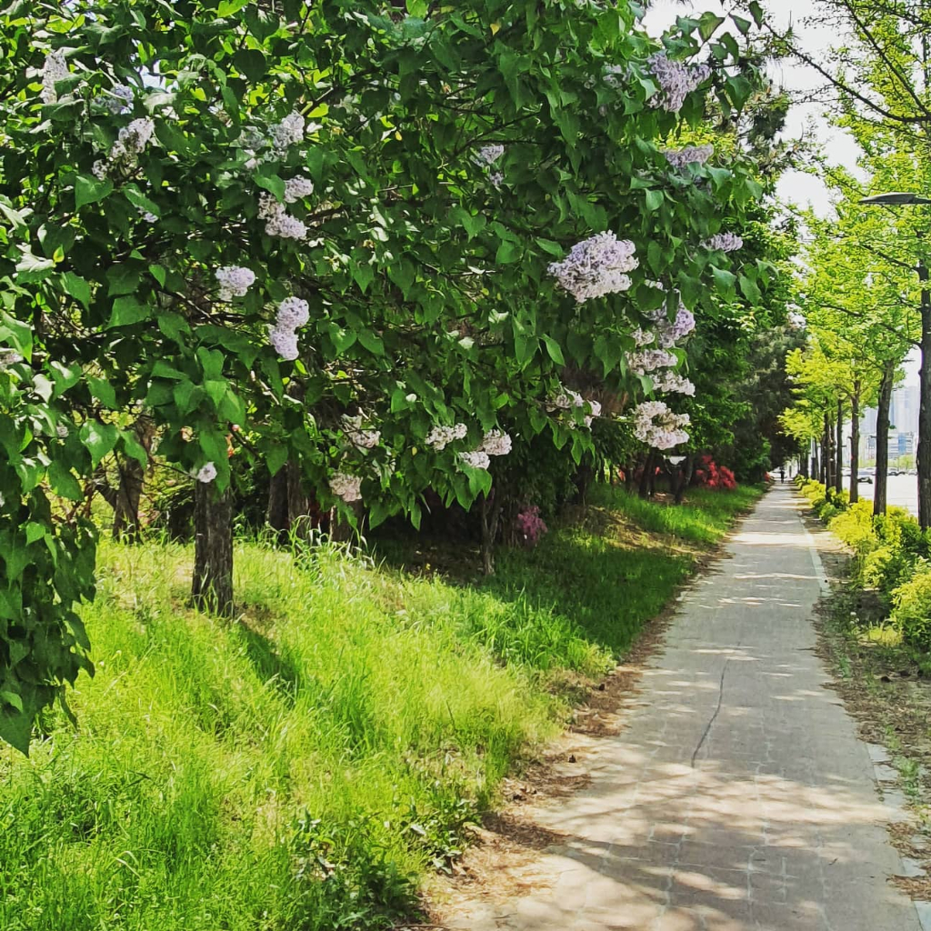배경 이미지