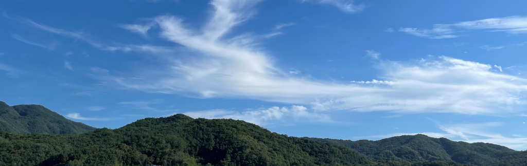 배경 이미지