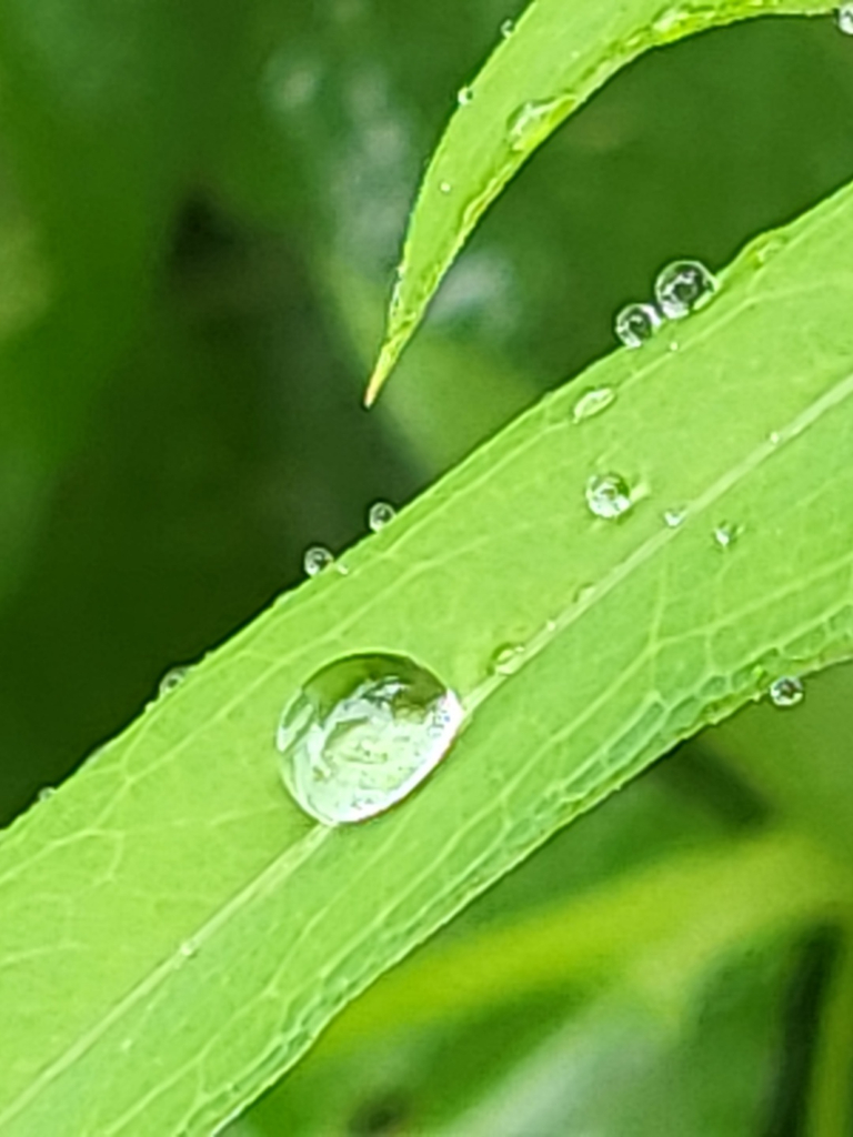 배경 이미지