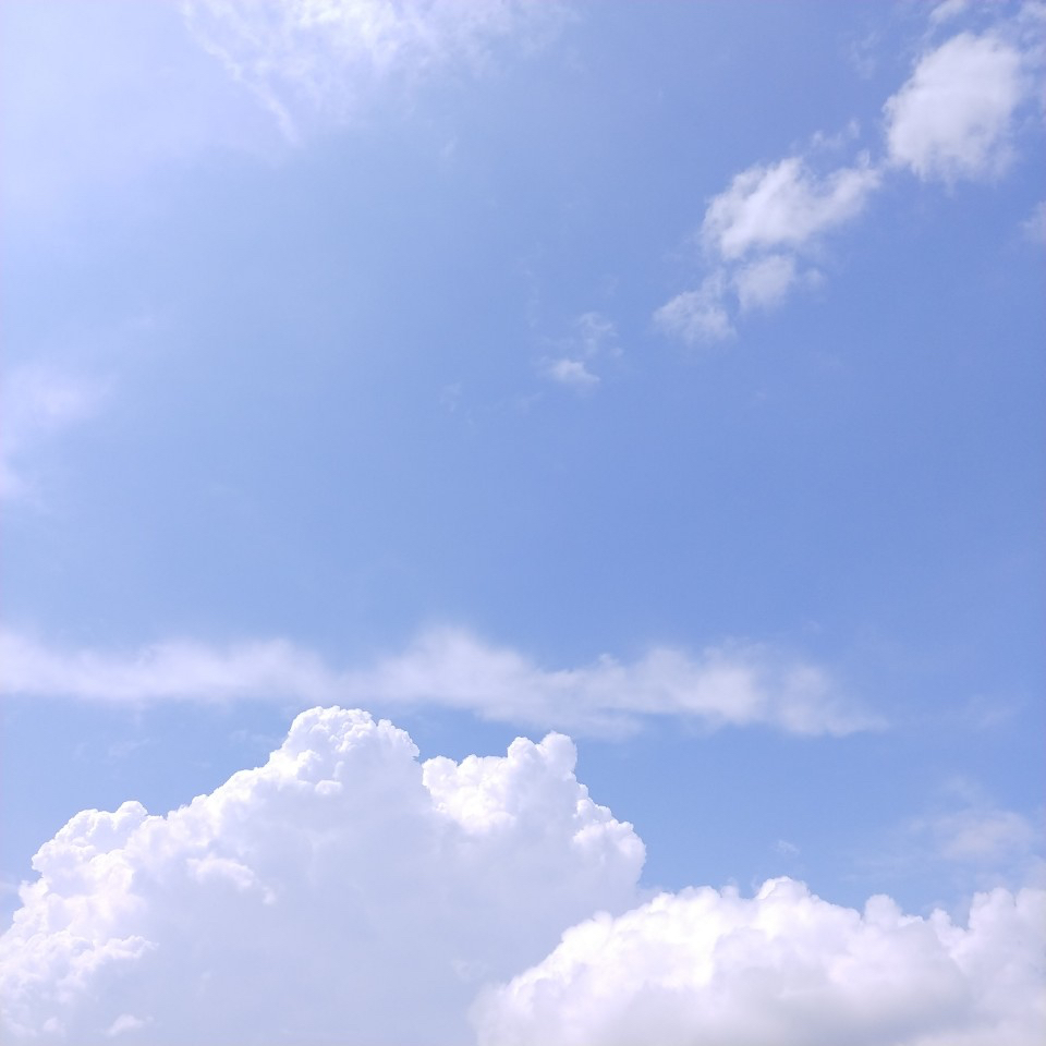 배경 이미지