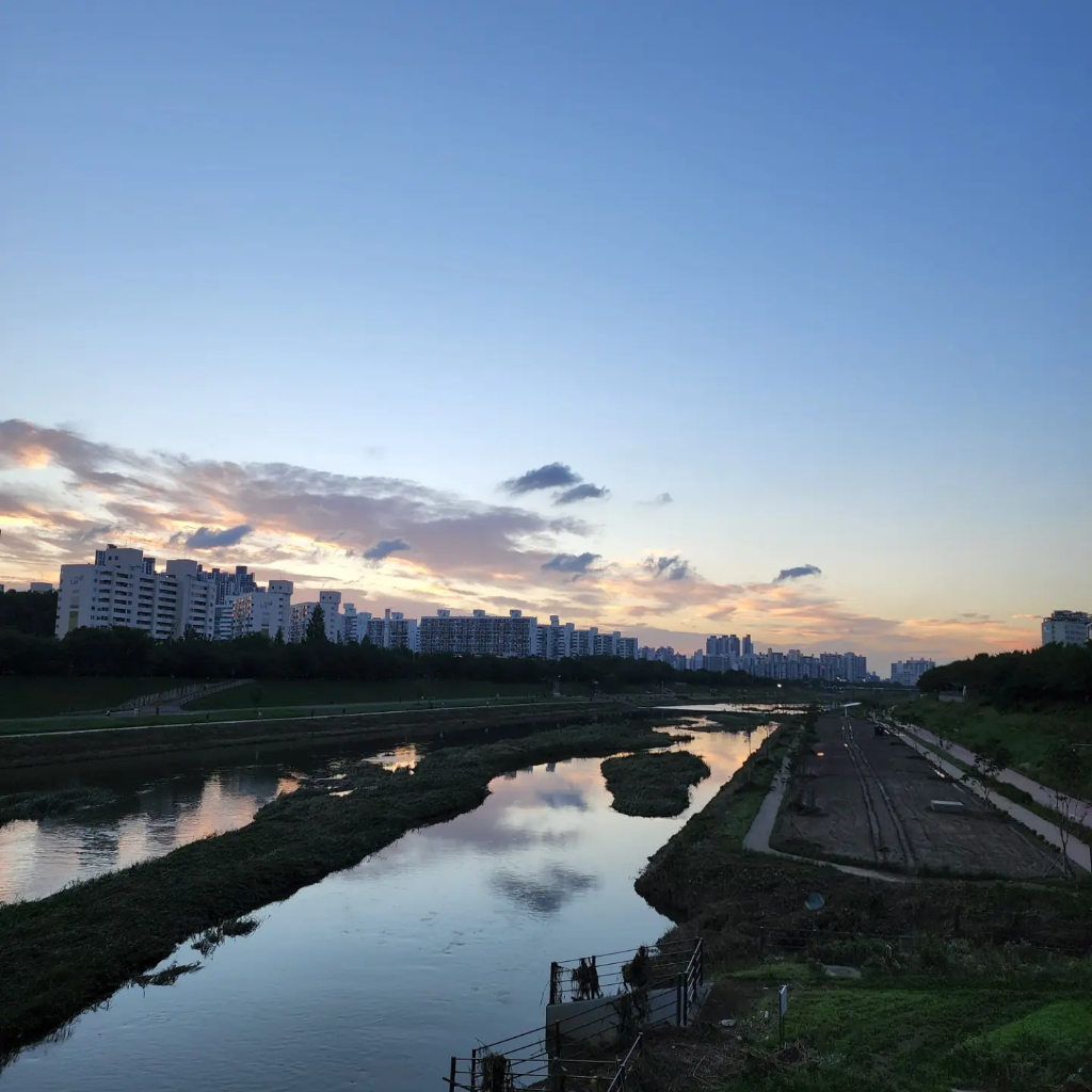 배경 이미지