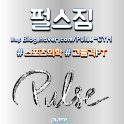 펄스짐 블로그