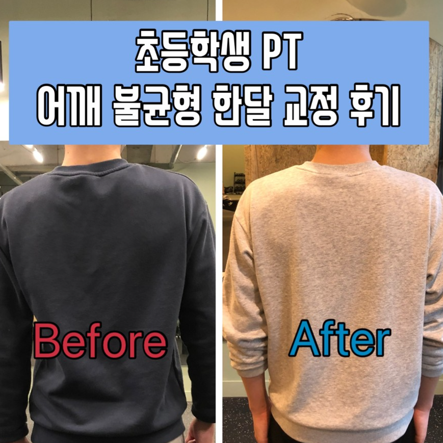 [PT후기]  회원님들의 후기💪