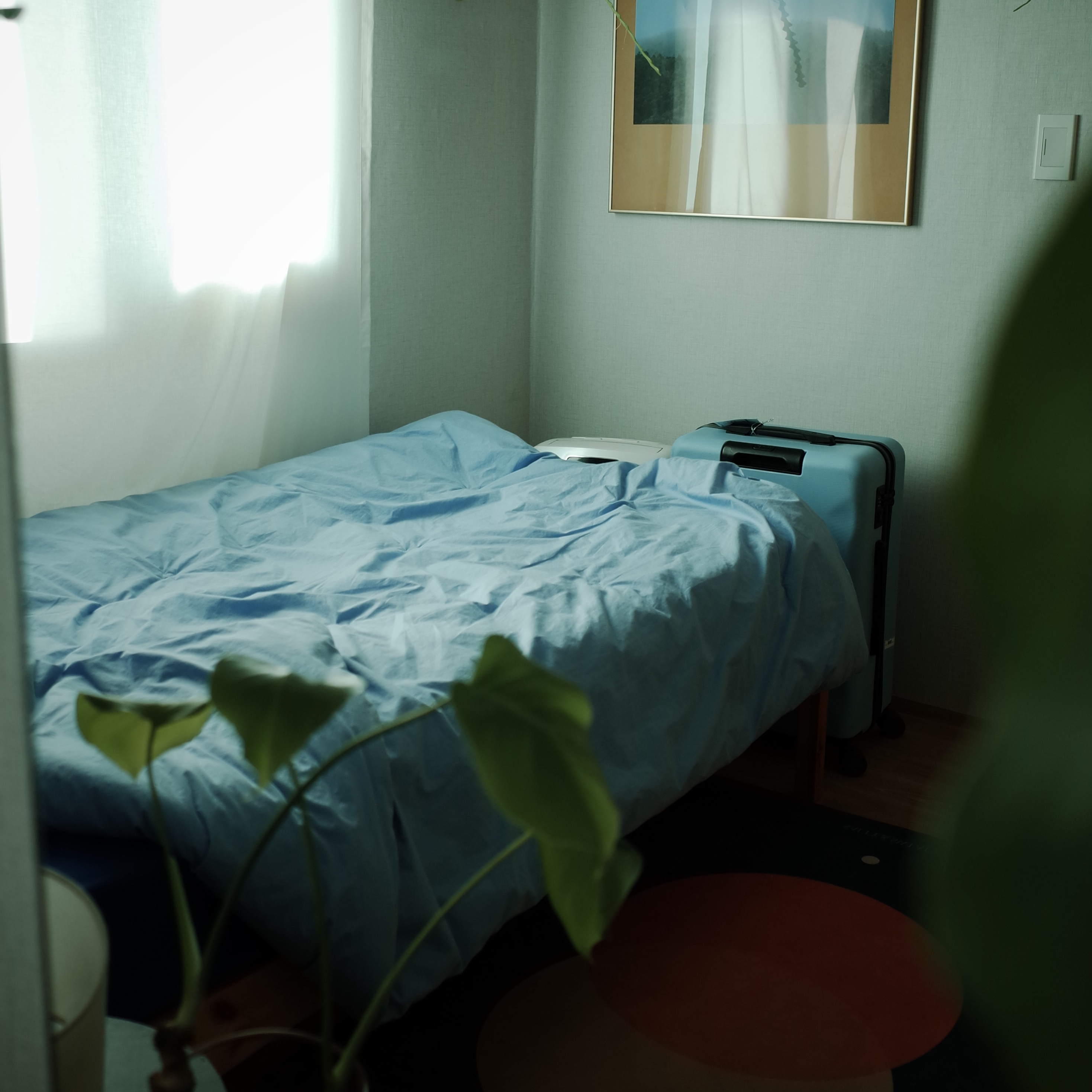 ON安穩house 