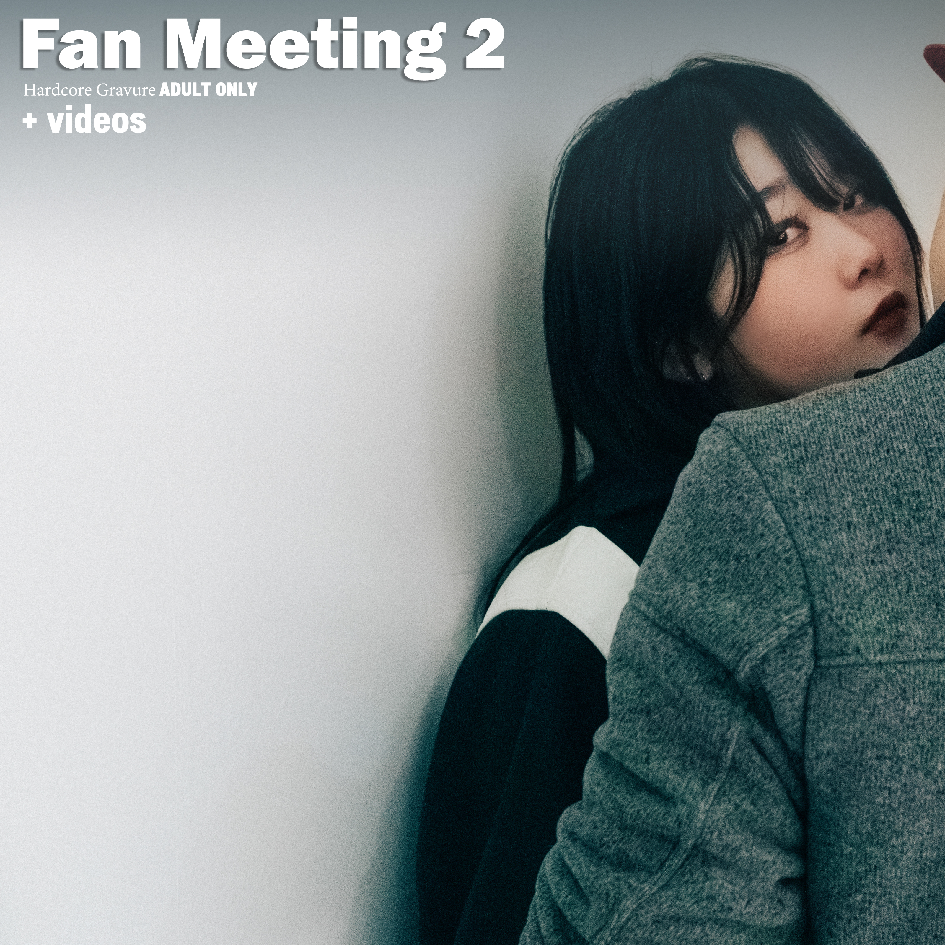 Fan meeting 2