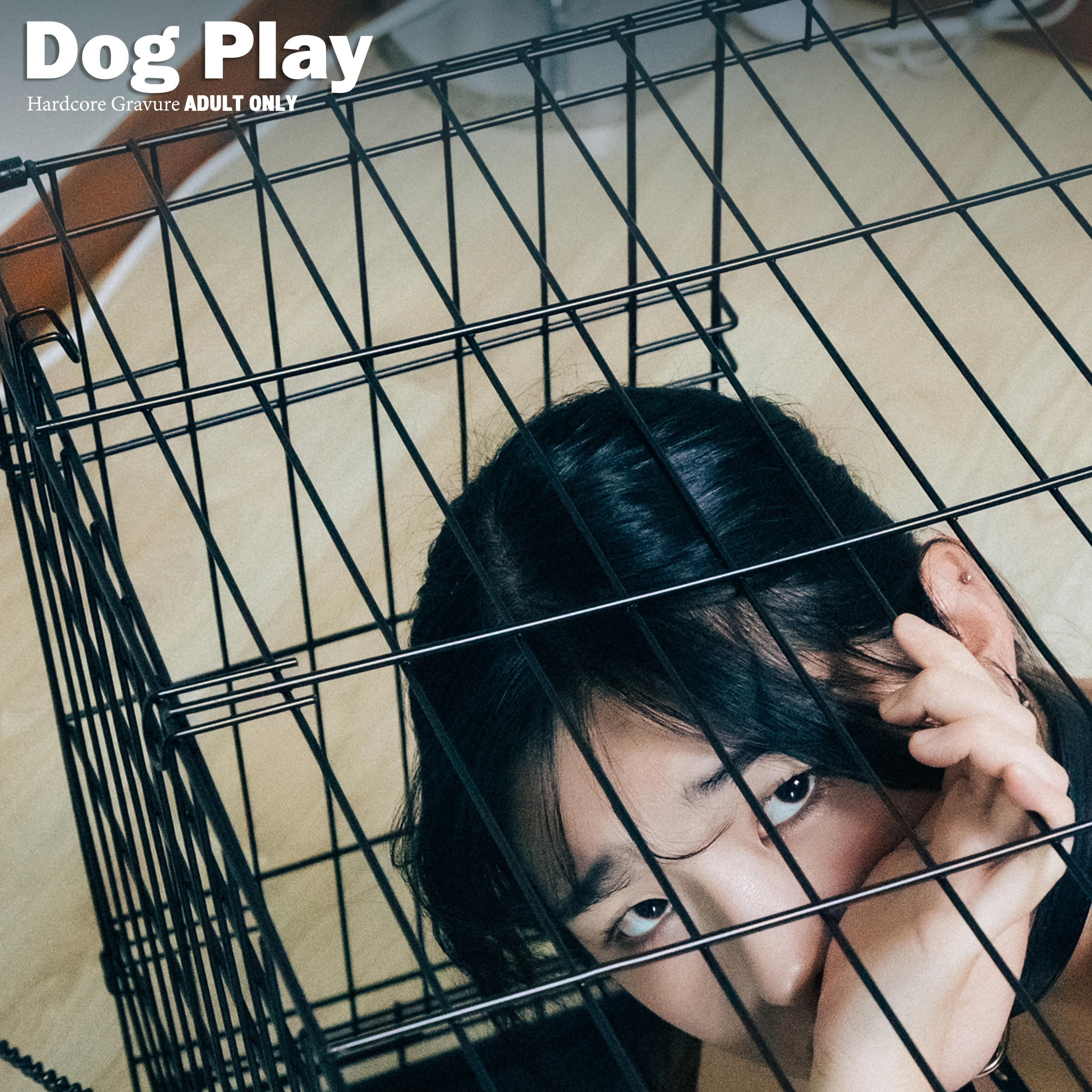 Dog Play